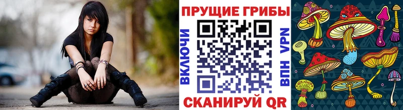 Купить где  Барабинск  Псилоцибиновые грибы Cubensis 